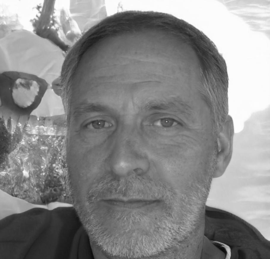 Marcus Chen, Lead Technical Instructor